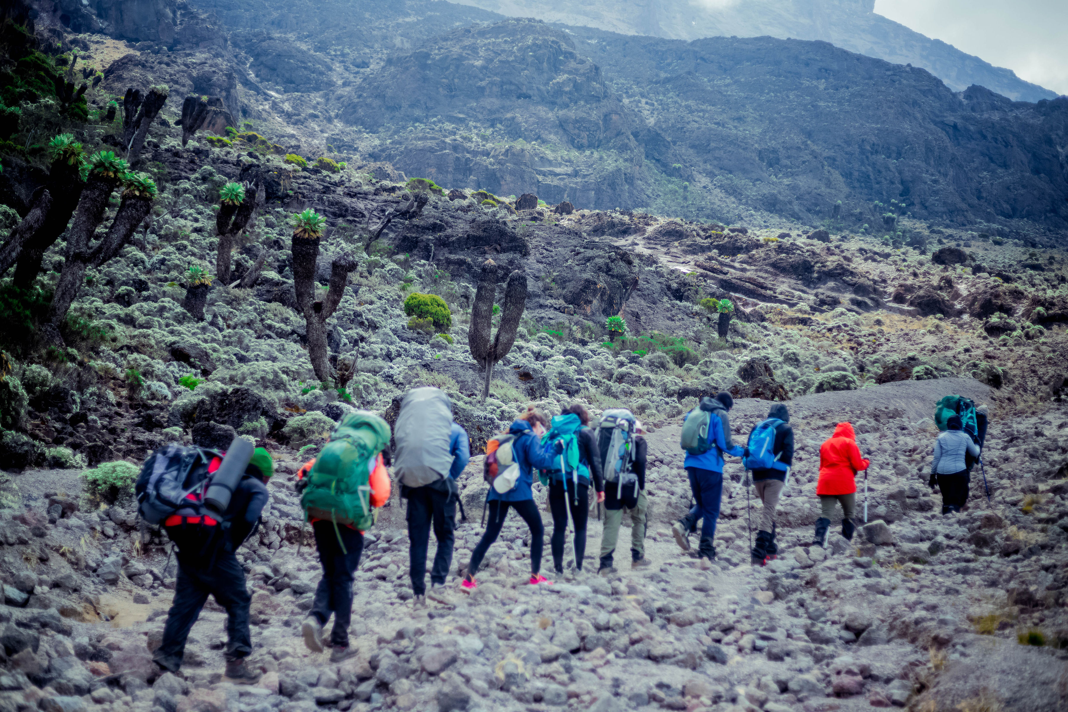 8 Days Marangu Route